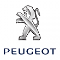 Capace Roti Cromate Peugeot