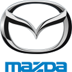 Ornamente Crom Inox Mazda