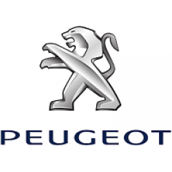 Aparatori Noroi Peugeot