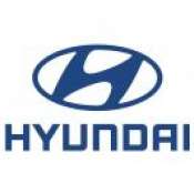 Bullbar Inox Hyundai