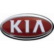 Bullbar Inox Kia