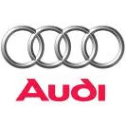 Carcase Chei Audi