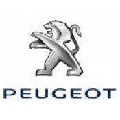 Carcase Chei Peugeot